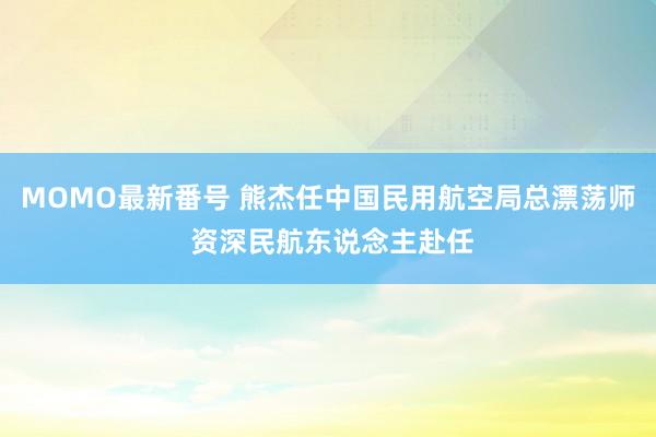 MOMO最新番号 熊杰任中国民用航空局总漂荡师 资深民航东说念主赴任