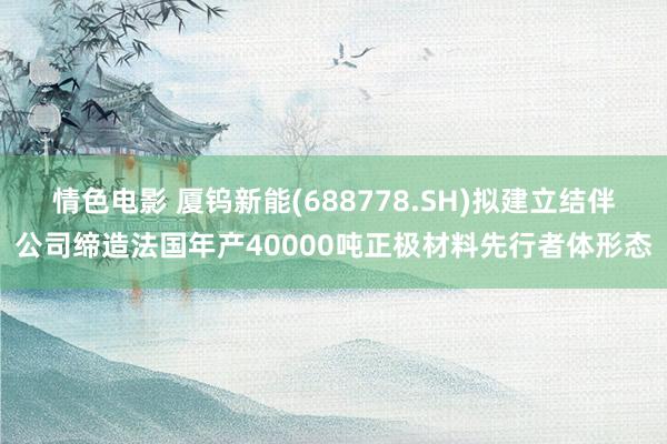 情色电影 厦钨新能(688778.SH)拟建立结伴公司缔造法国年产40000吨正极材料先行者体形态
