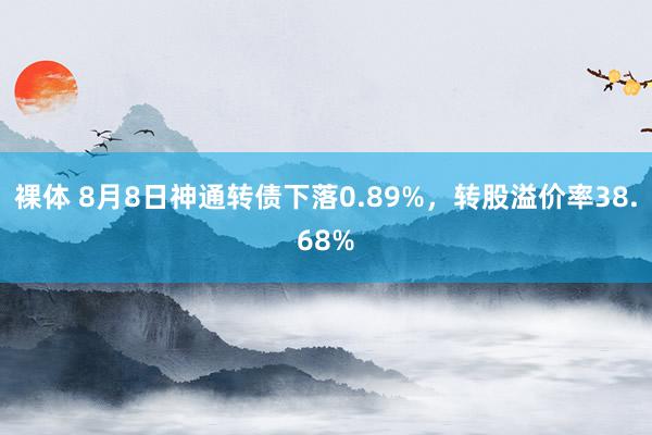 裸体 8月8日神通转债下落0.89%，转股溢价率38.68%