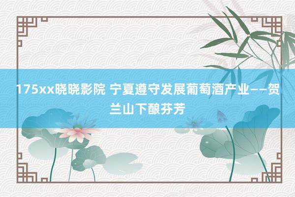 175xx晓晓影院 宁夏遵守发展葡萄酒产业——贺兰山下酿芬芳
