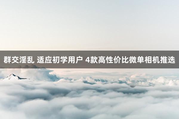 群交淫乱 适应初学用户 4款高性价比微单相机推选