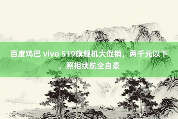 百度鸡巴 vivo S19旗舰机大促销，两千元以下，照相续航全自豪
