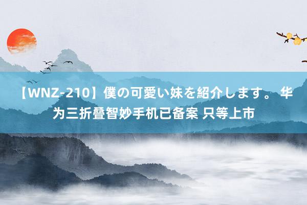 【WNZ-210】僕の可愛い妹を紹介します。 华为三折叠智妙手机已备案 只等上市
