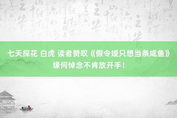七天探花 白虎 读者赞叹《假令嫒只想当条咸鱼》缘何悼念不肯放开手！