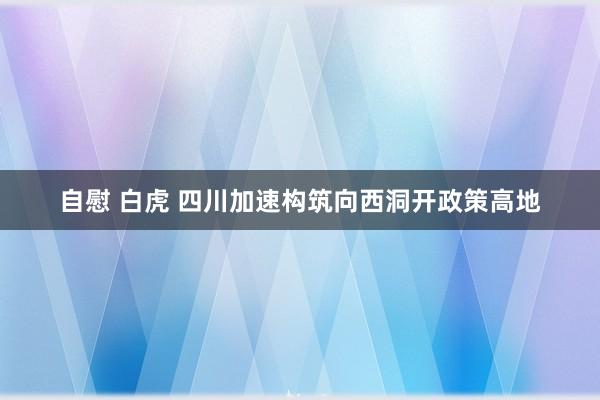 自慰 白虎 四川加速构筑向西洞开政策高地