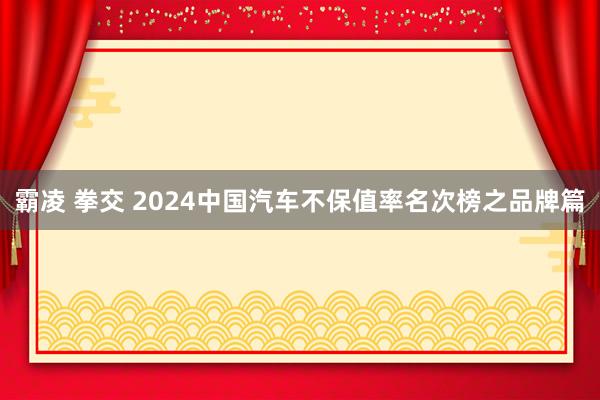 霸凌 拳交 2024中国汽车不保值率名次榜之品牌篇