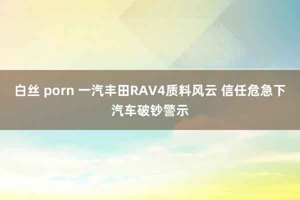 白丝 porn 一汽丰田RAV4质料风云 信任危急下汽车破钞警示