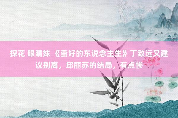 探花 眼睛妹 《蛮好的东说念主生》丁致远又建议别离，邱丽苏的结局，有点惨