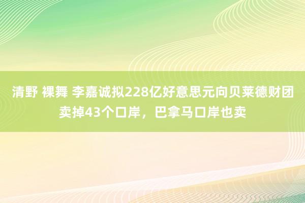 清野 裸舞 李嘉诚拟228亿好意思元向贝莱德财团卖掉43个口岸，巴拿马口岸也卖