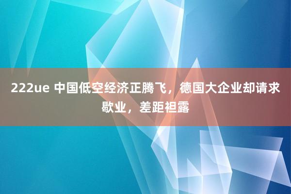222ue 中国低空经济正腾飞，德国大企业却请求歇业，差距袒露