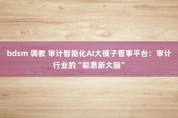 bdsm 调教 审计智能化AI大模子管事平台：审计行业的“聪惠新大脑”