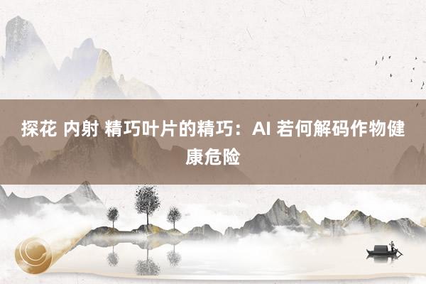 探花 内射 精巧叶片的精巧：AI 若何解码作物健康危险