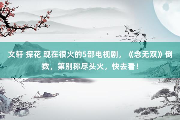文轩 探花 现在很火的5部电视剧，《念无双》倒数，第别称尽头火，快去看！