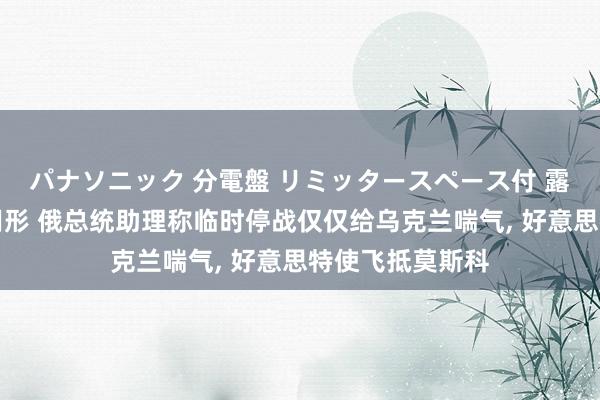 パナソニック 分電盤 リミッタースペース付 露出・半埋込両用形 俄总统助理称临时停战仅仅给乌克兰喘气， 好意思特使飞抵莫斯科