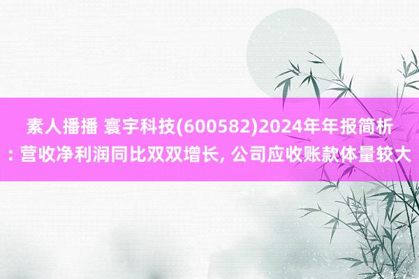 素人播播 寰宇科技(600582)2024年年报简析: 营收净利润同比双双增长， 公司应收账款体量较大
