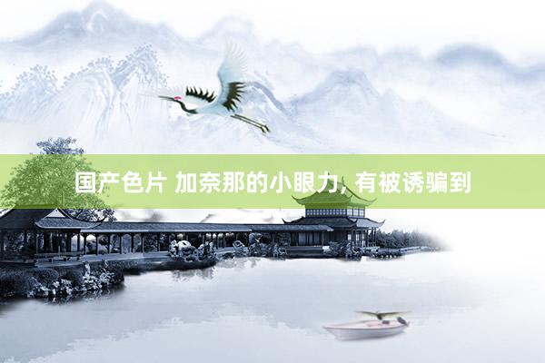 国产色片 加奈那的小眼力， 有被诱骗到