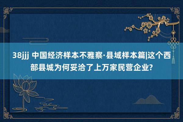 38jjj 中国经济样本不雅察·县域样本篇|这个西部县城为何妥洽了上万家民营企业?