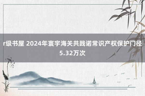 r级书屋 2024年寰宇海关共践诺常识产权保护门径5.32万次