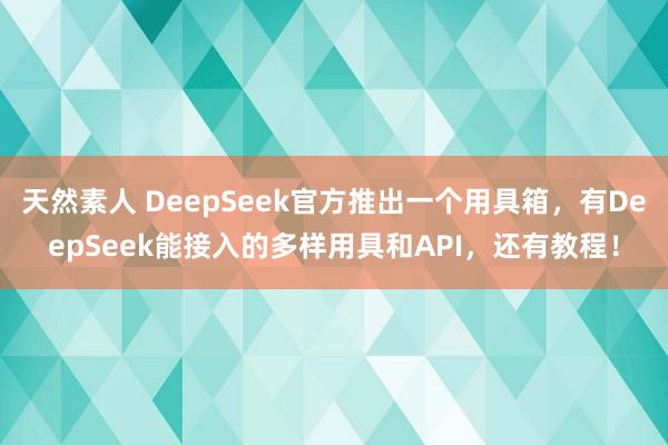 天然素人 DeepSeek官方推出一个用具箱，有DeepSeek能接入的多样用具和API，还有教程！